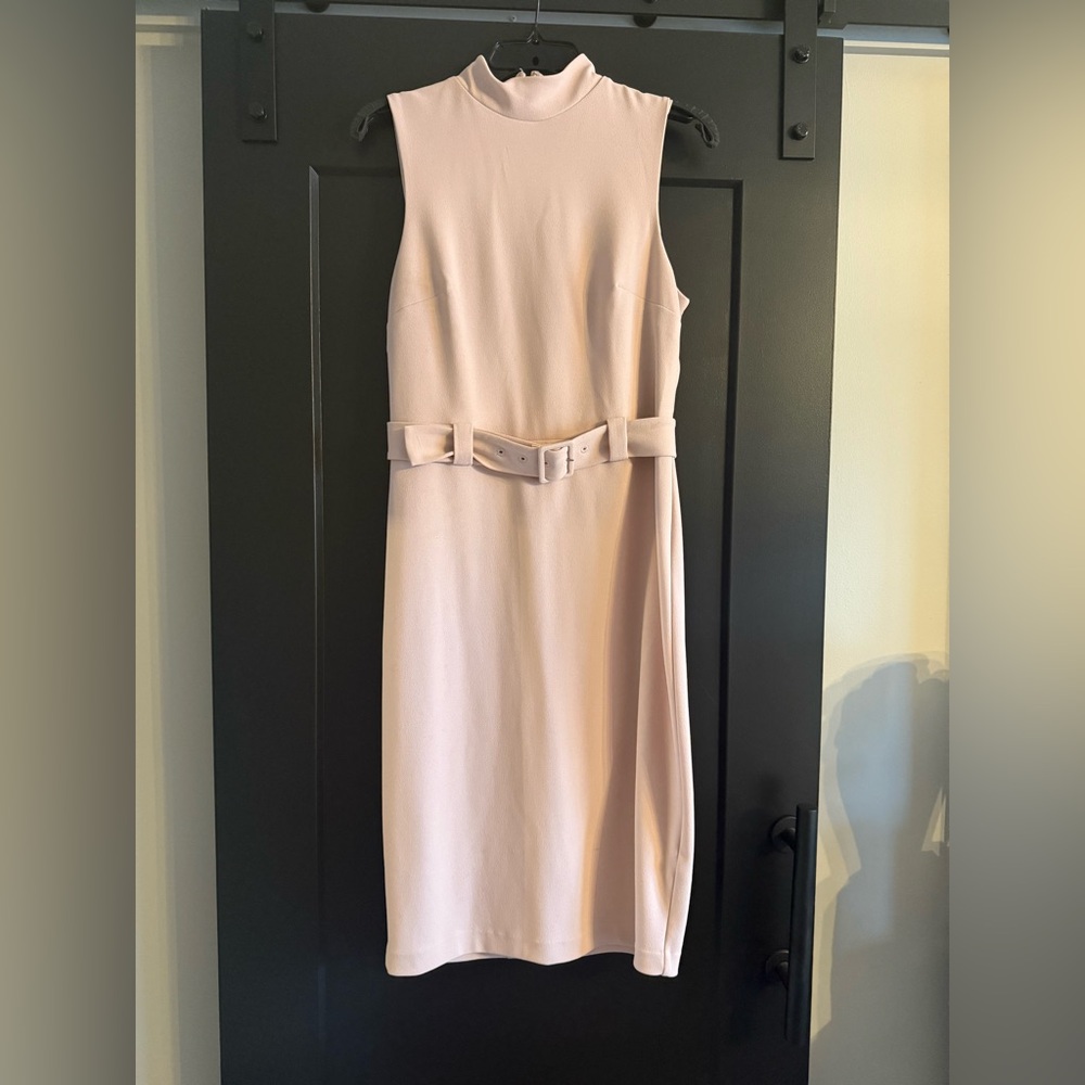 Express Blush Pink Midi Dress with Belt